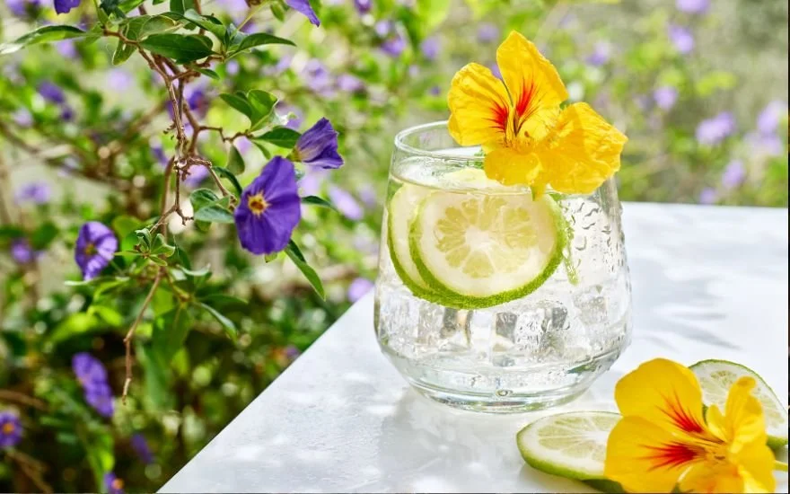 Father’s Day Gin Guide: Six Bottles for Summer Sipping