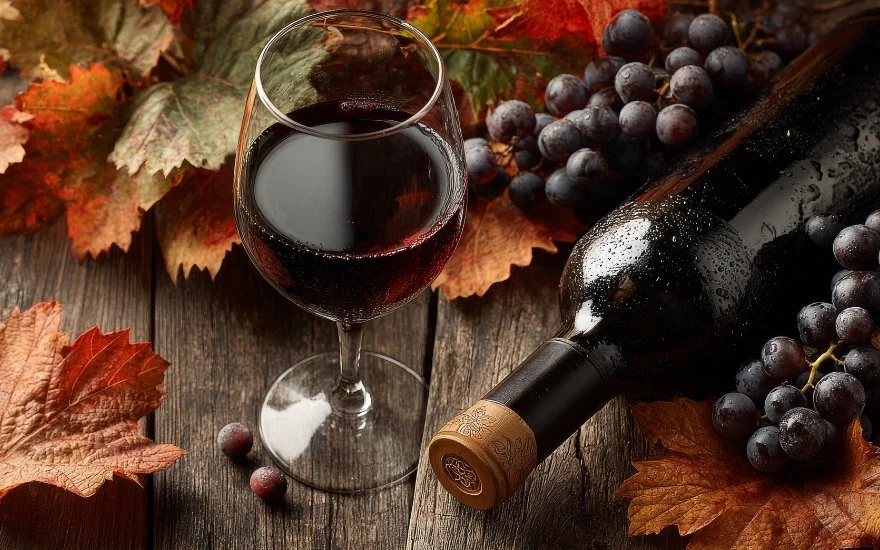 7 of the Best Red Wines Under £20 for Cold Autumn Nights