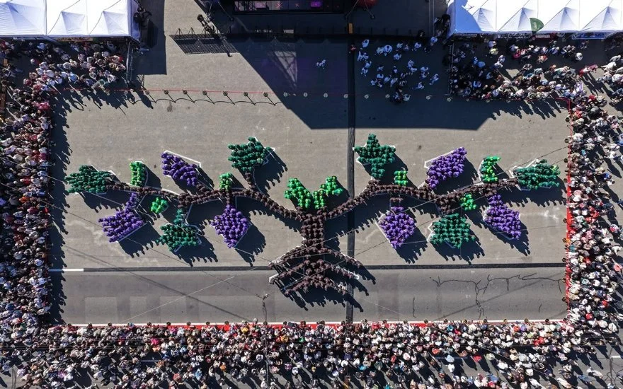 Moldova Breaks a World Record by Forming a Human Grapevine