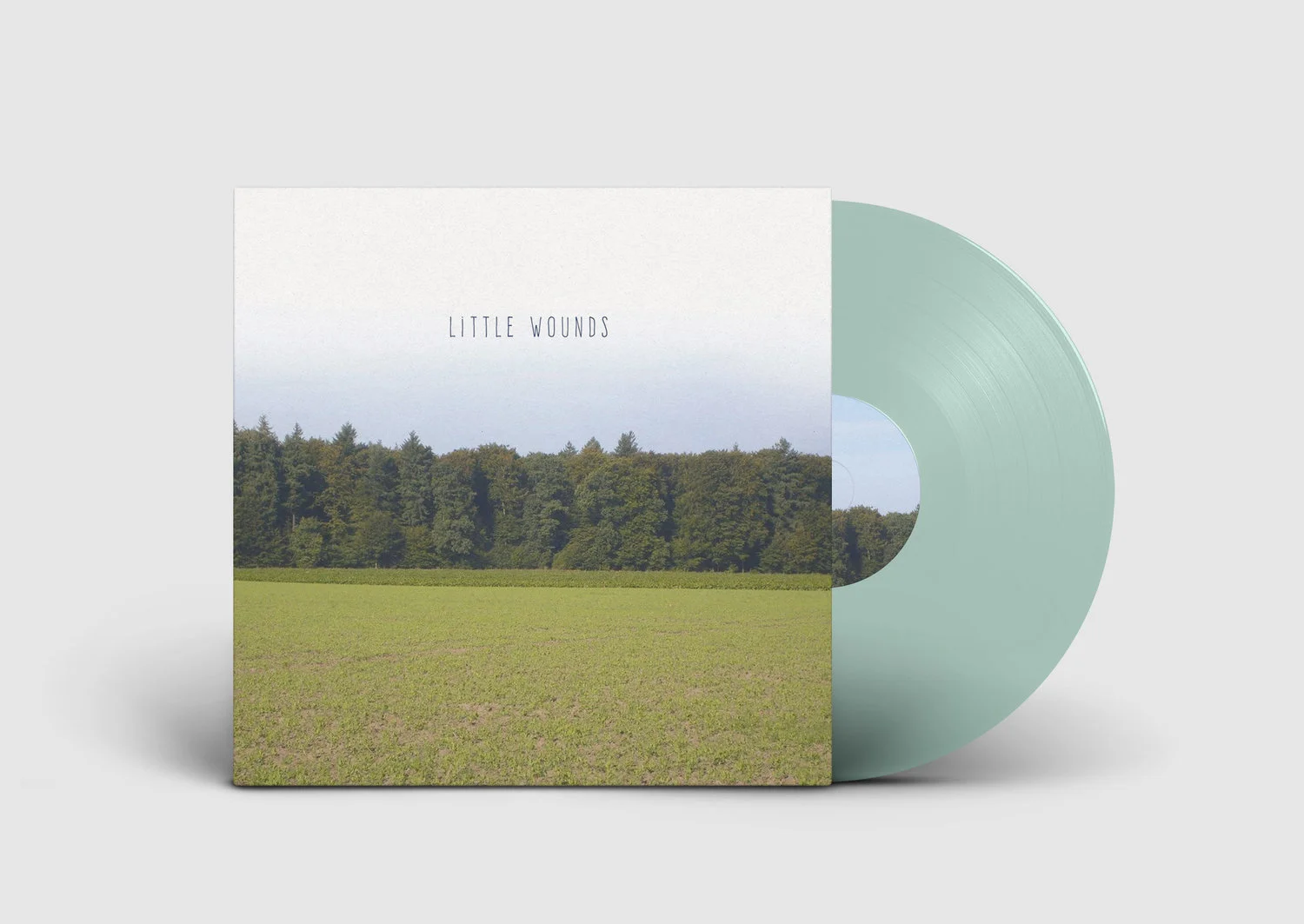 BobbyBarnett-LittleWounds.jpg