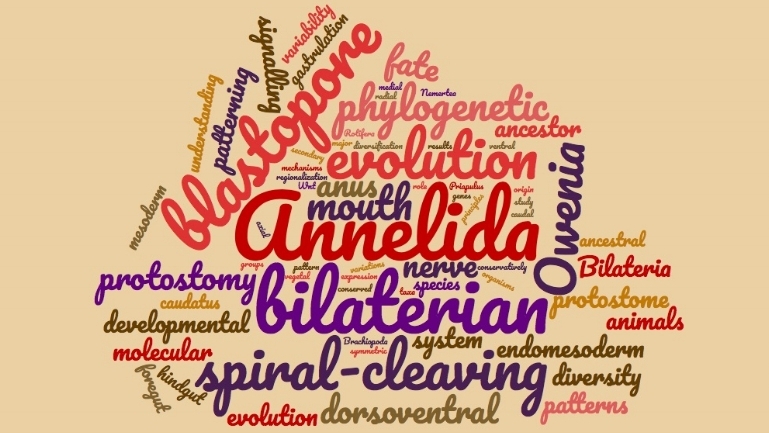 chema webpage.jpg
