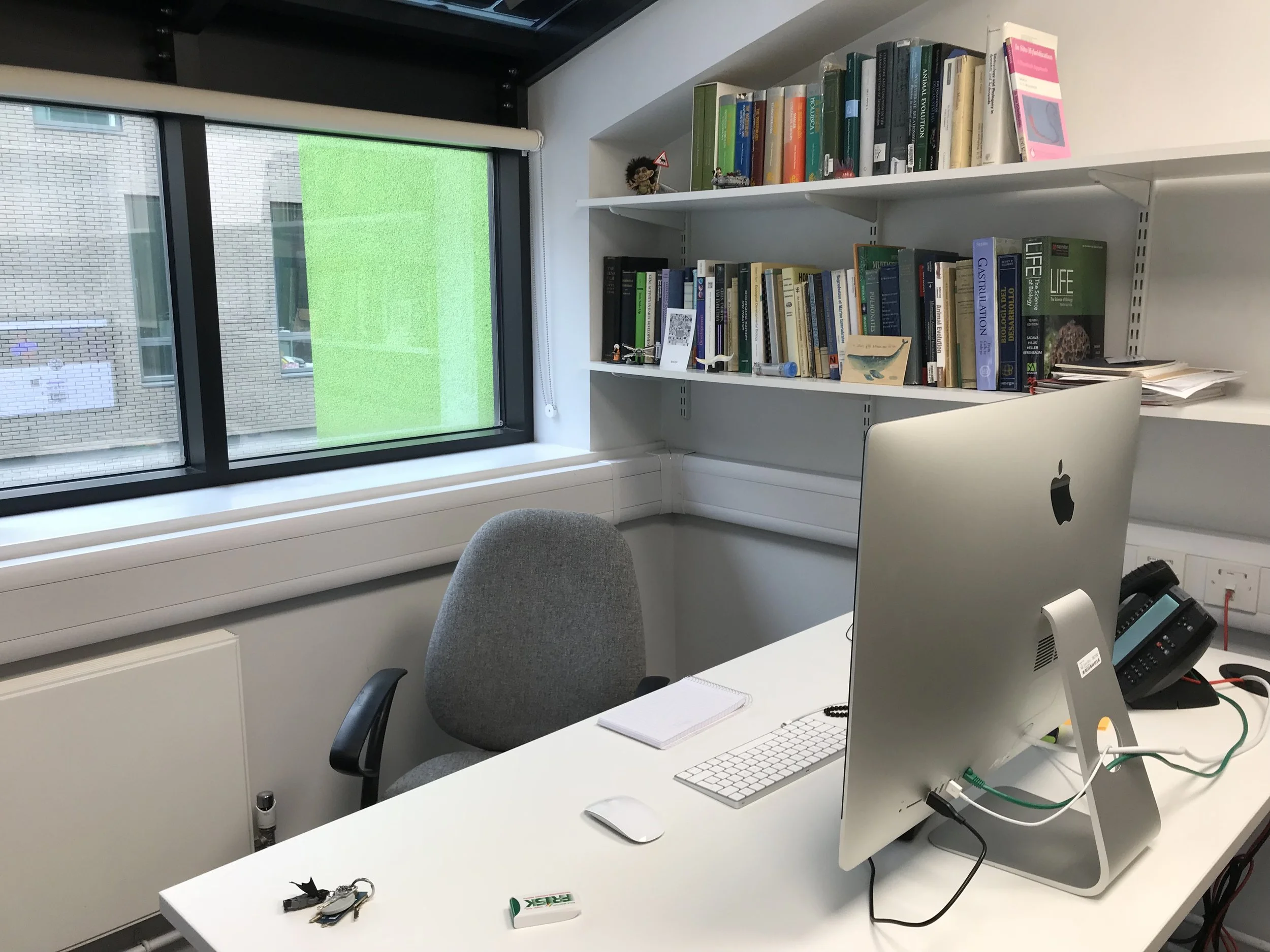 Setting up the office...