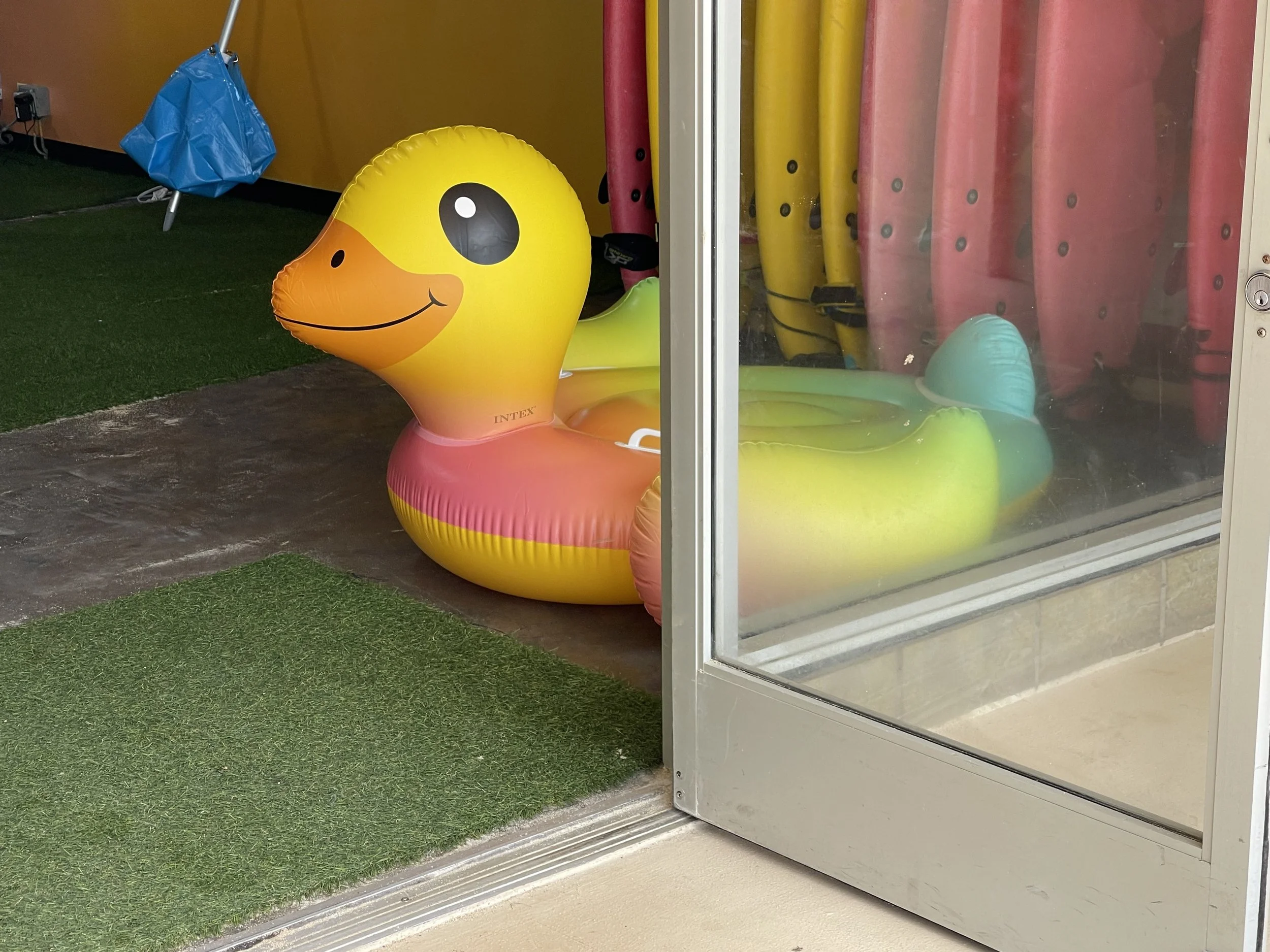 2022-03-27 13.22.20.jpg