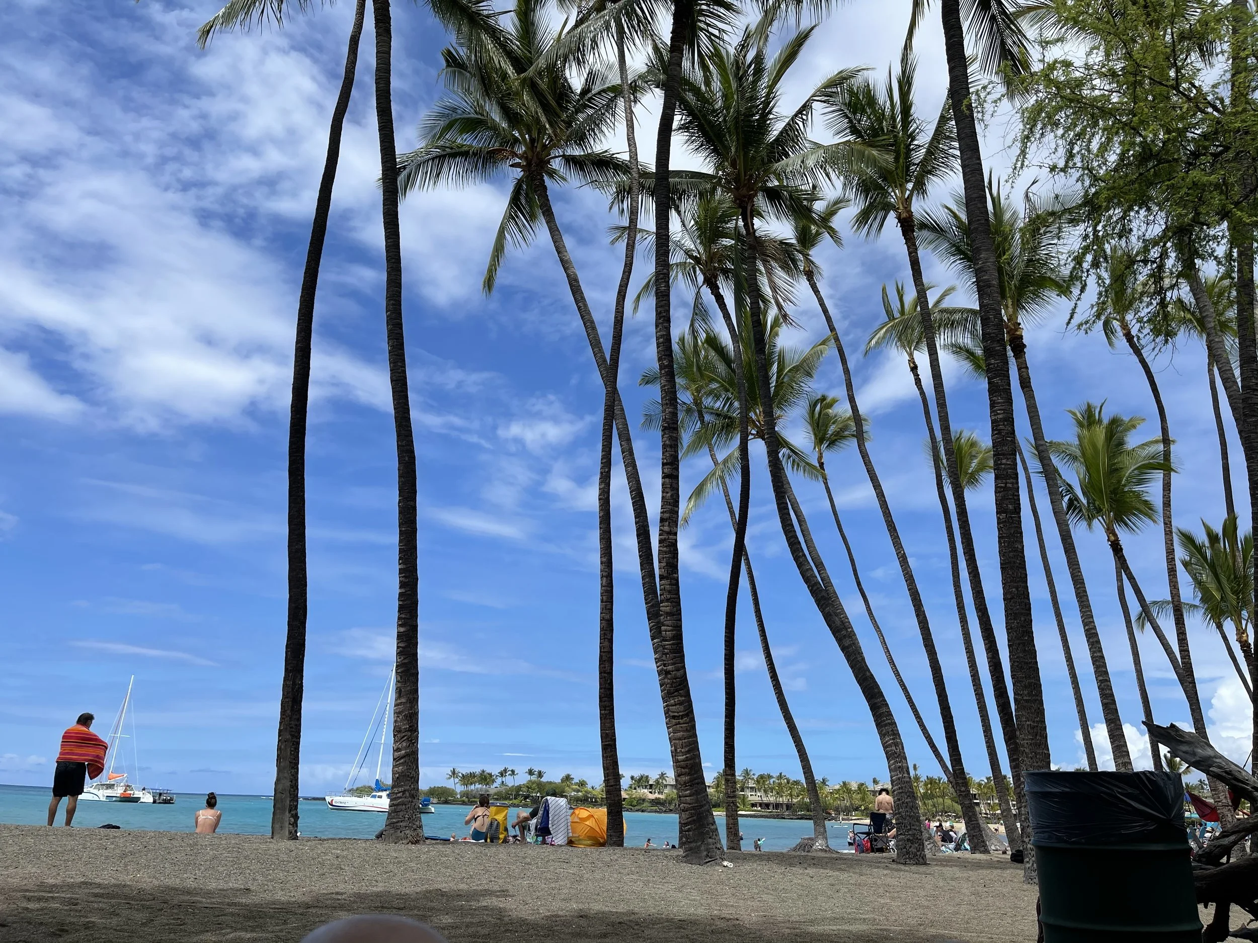 2021-03-15 12.42.52.jpg