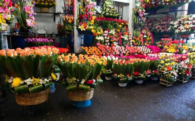 FLORES DE TEMPORADA EN MÉXICO – PARTE II de ll