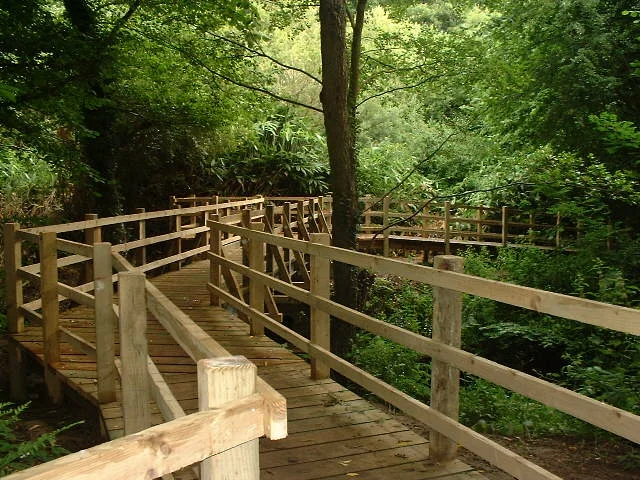 Liss Forest Footbridge, Liss