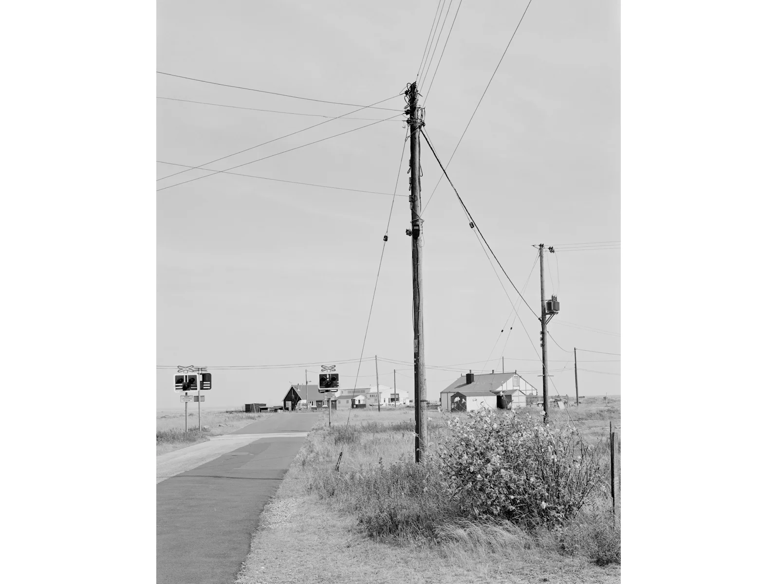peter-bennett-dungeness-04.jpg