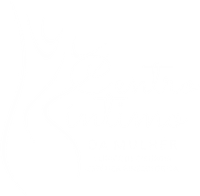 Centro Íntimo da Mulher