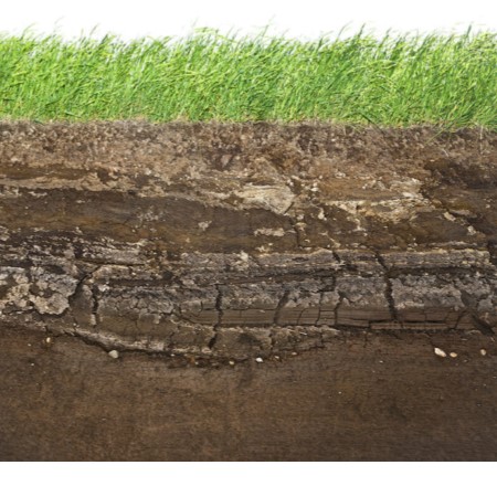 soil testing.jpg