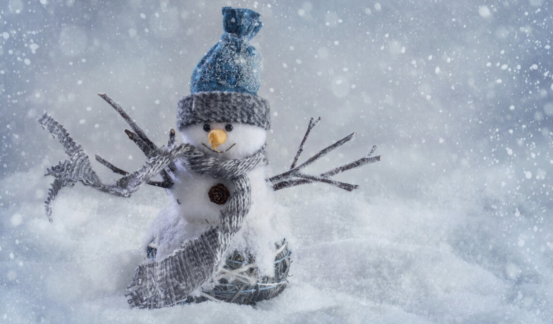 January  General Membership Meeting - EMG Program Update by Mary Wilson