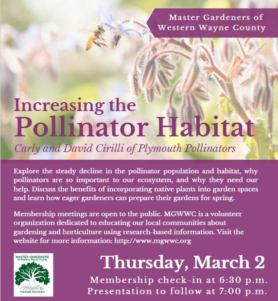 March General Membership Meeting - Increasing the Pollinator Habitat by  Carly Cirilli of Plymouth Pollinators
