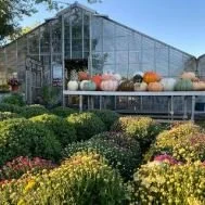 November General Membership Meeting - Owning an Old Nursery in a New Day by Rachel Nisch