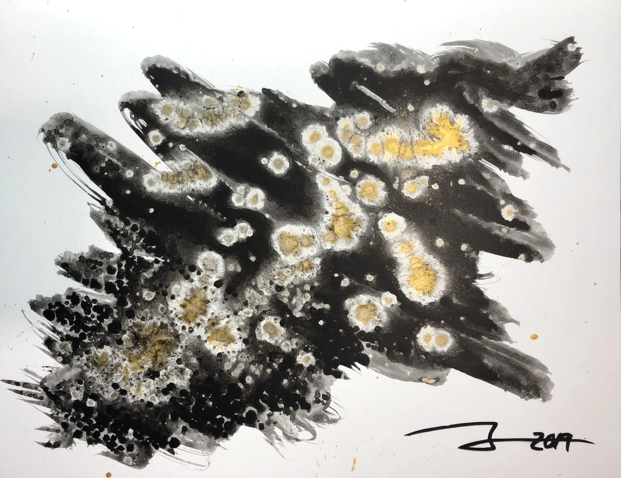 Black and Gold