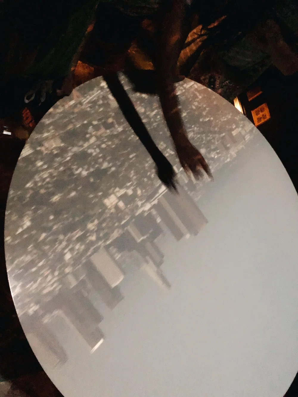  Camera Obscura that shows the Los Angeles skyline.&nbsp; 