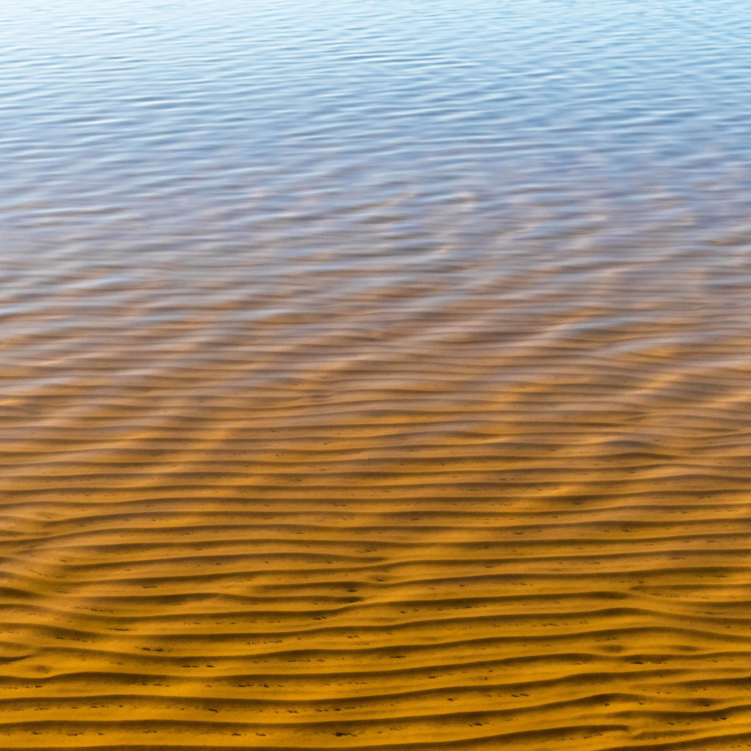  Lake floor ripples and water reflections 