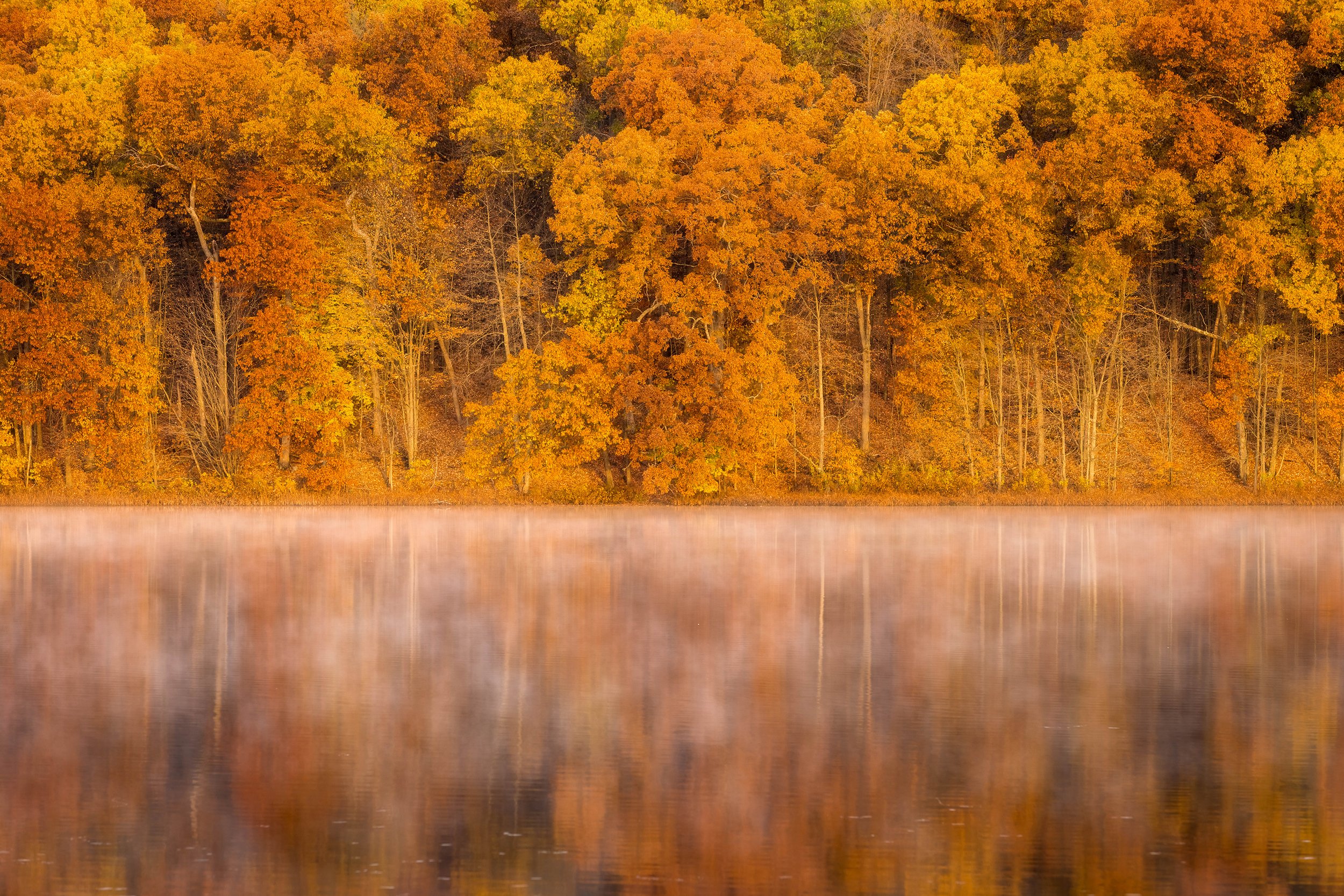  Amber tones, Pickerel Lake, MI 