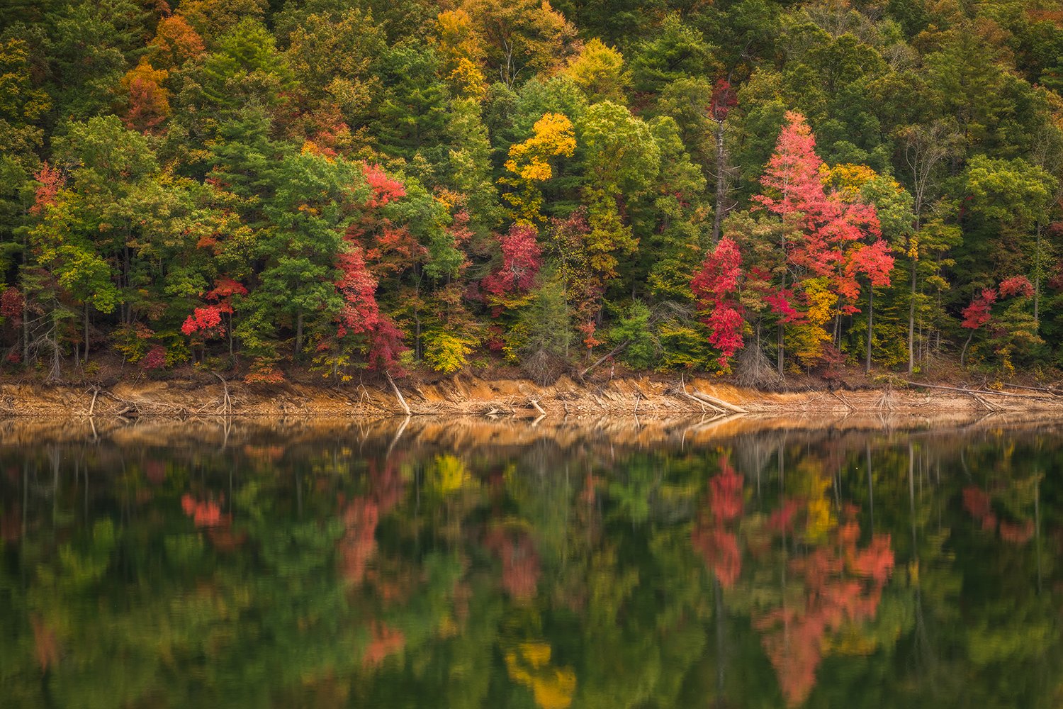  Fall reflections, Lake Watuga, TN 