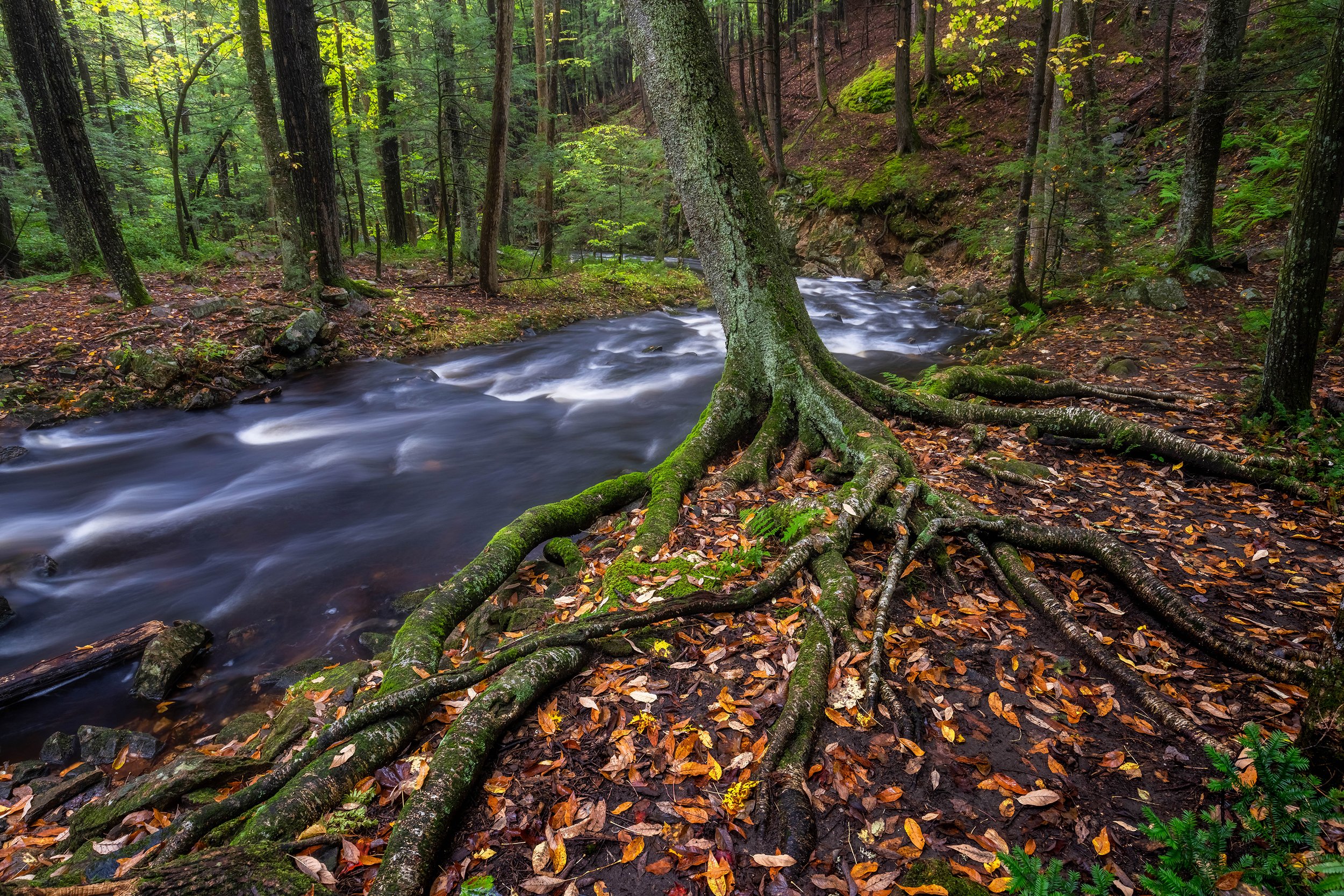  Bears Den, MA 