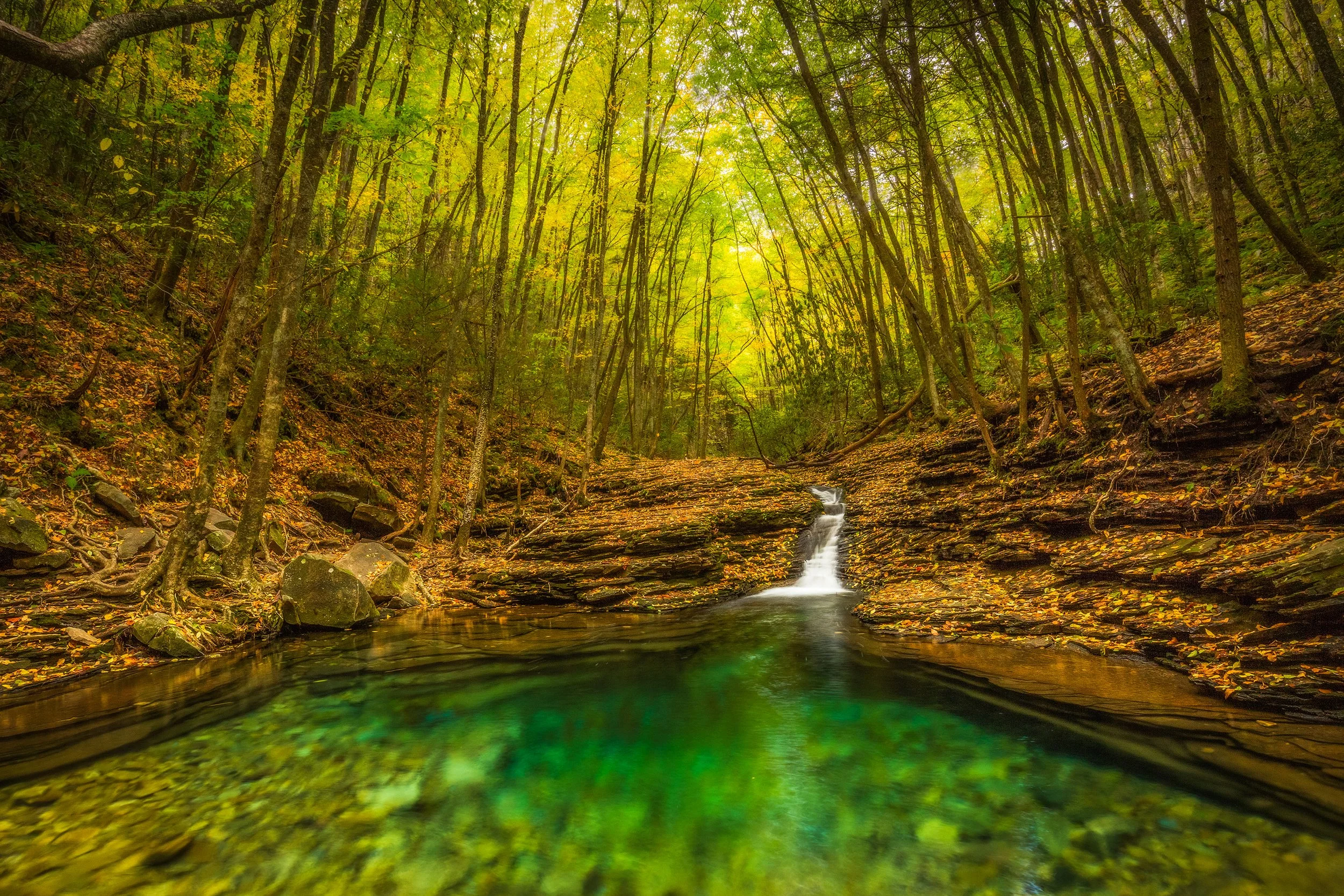  Devil’s Bath Tub, VA 