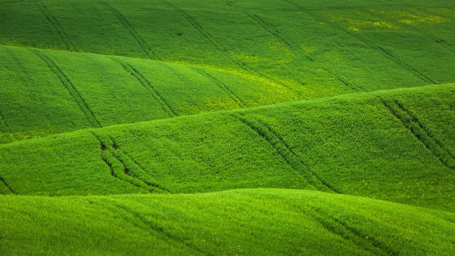  Rolling hills in South Moravia, CZ 