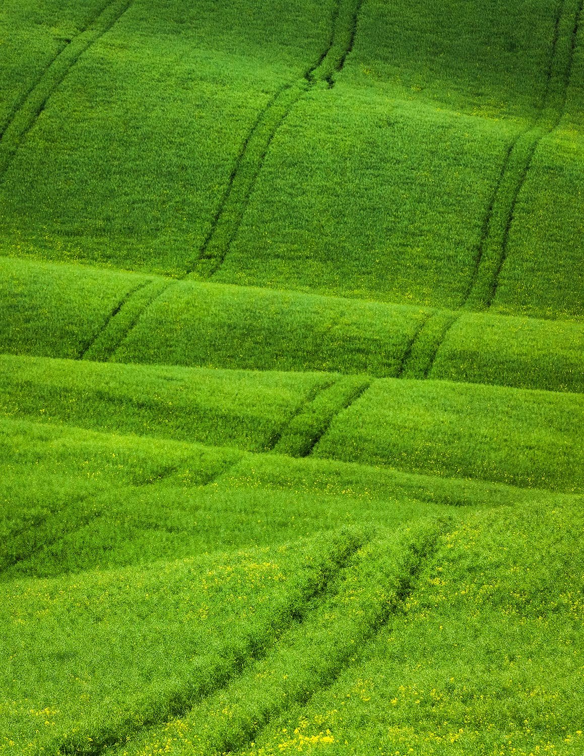  Rolling hills in South Moravia, CZ 