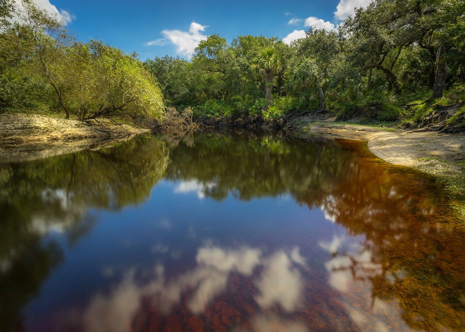  Econlockhatchee river, FL 