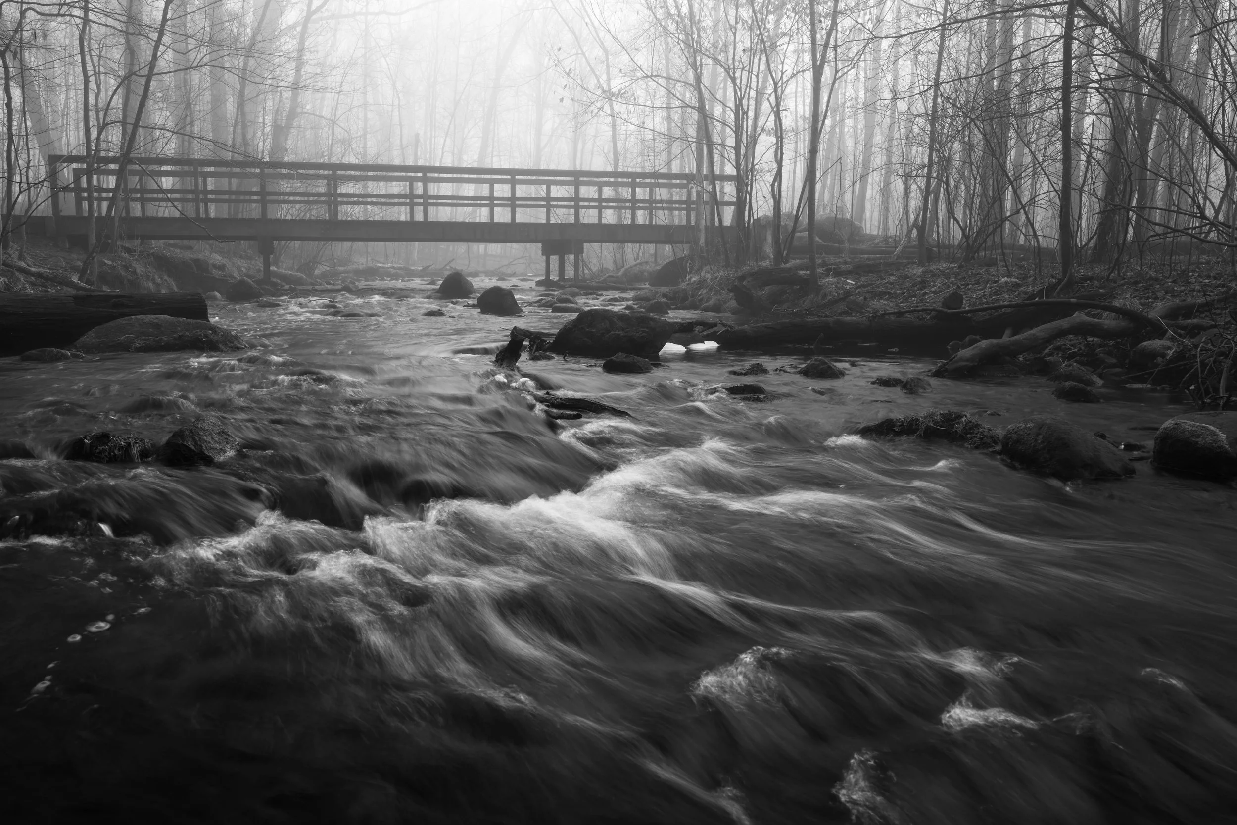  Fog over Honey Creek, MI 