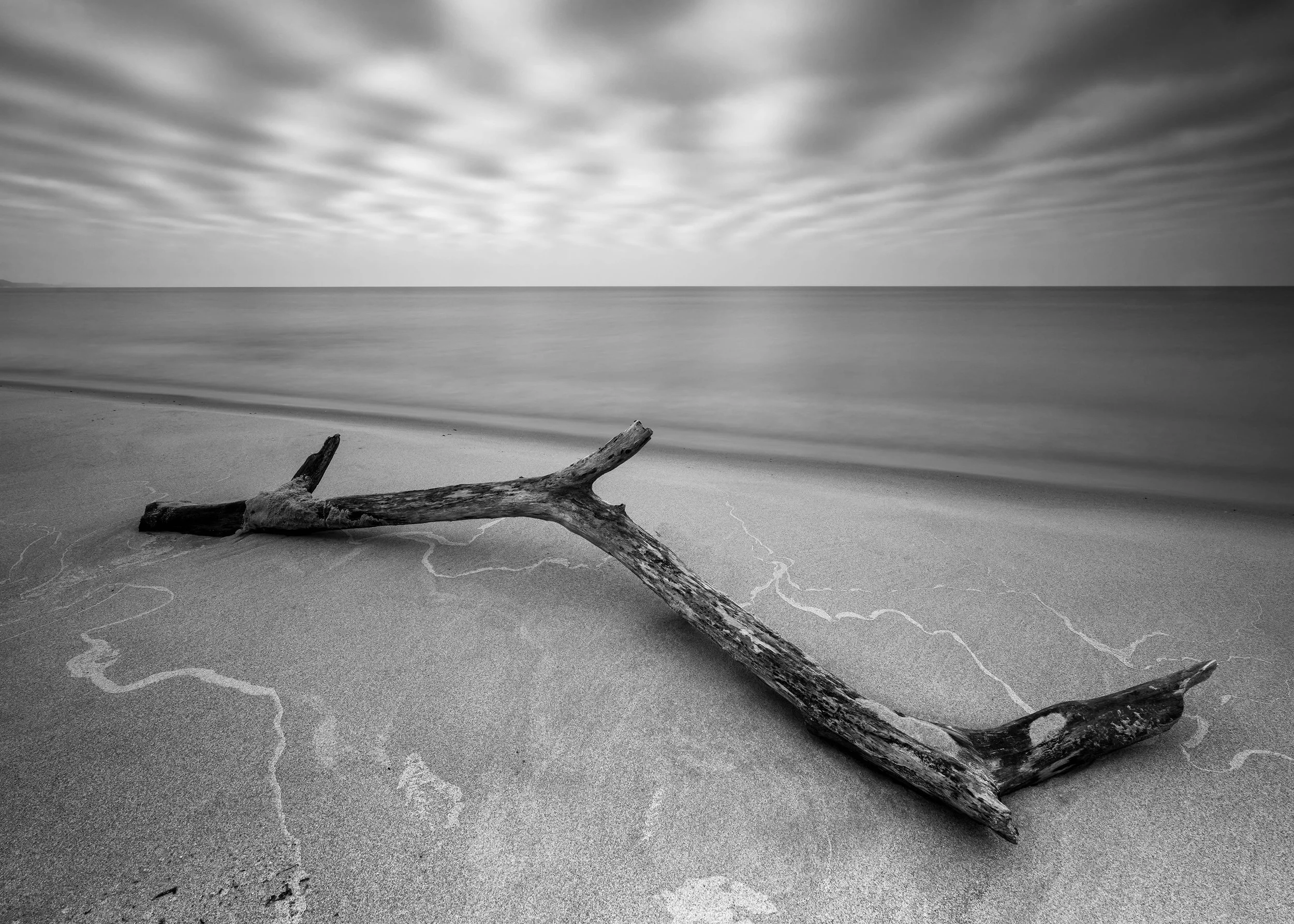  Drift wood on a Lake Michigan beach 