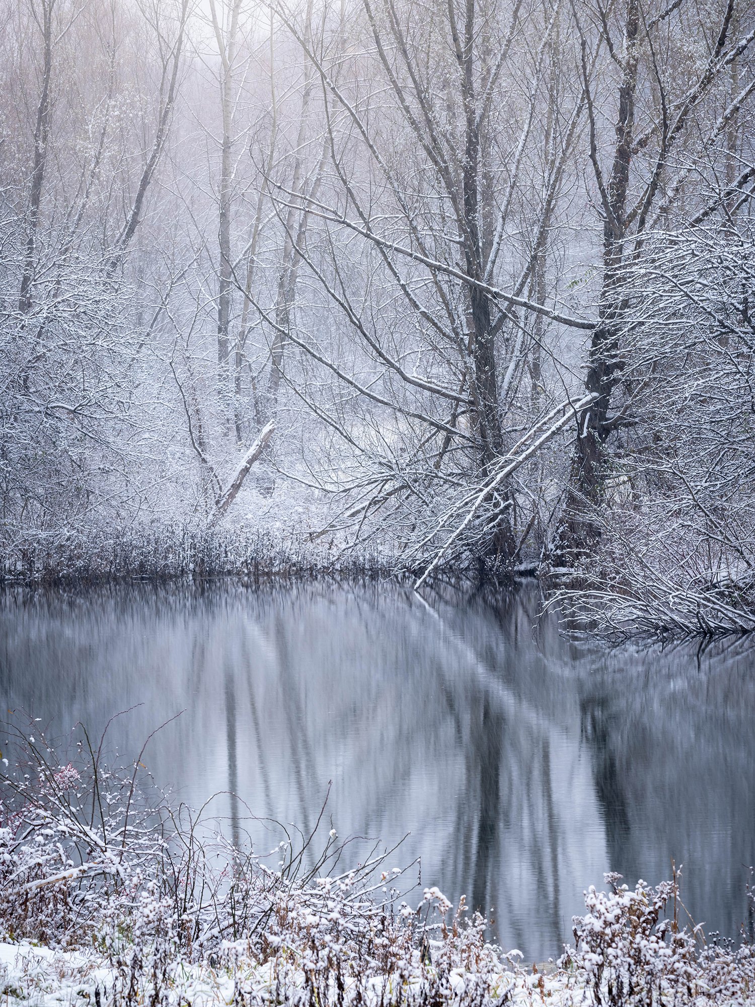  Reflections on a small pond 