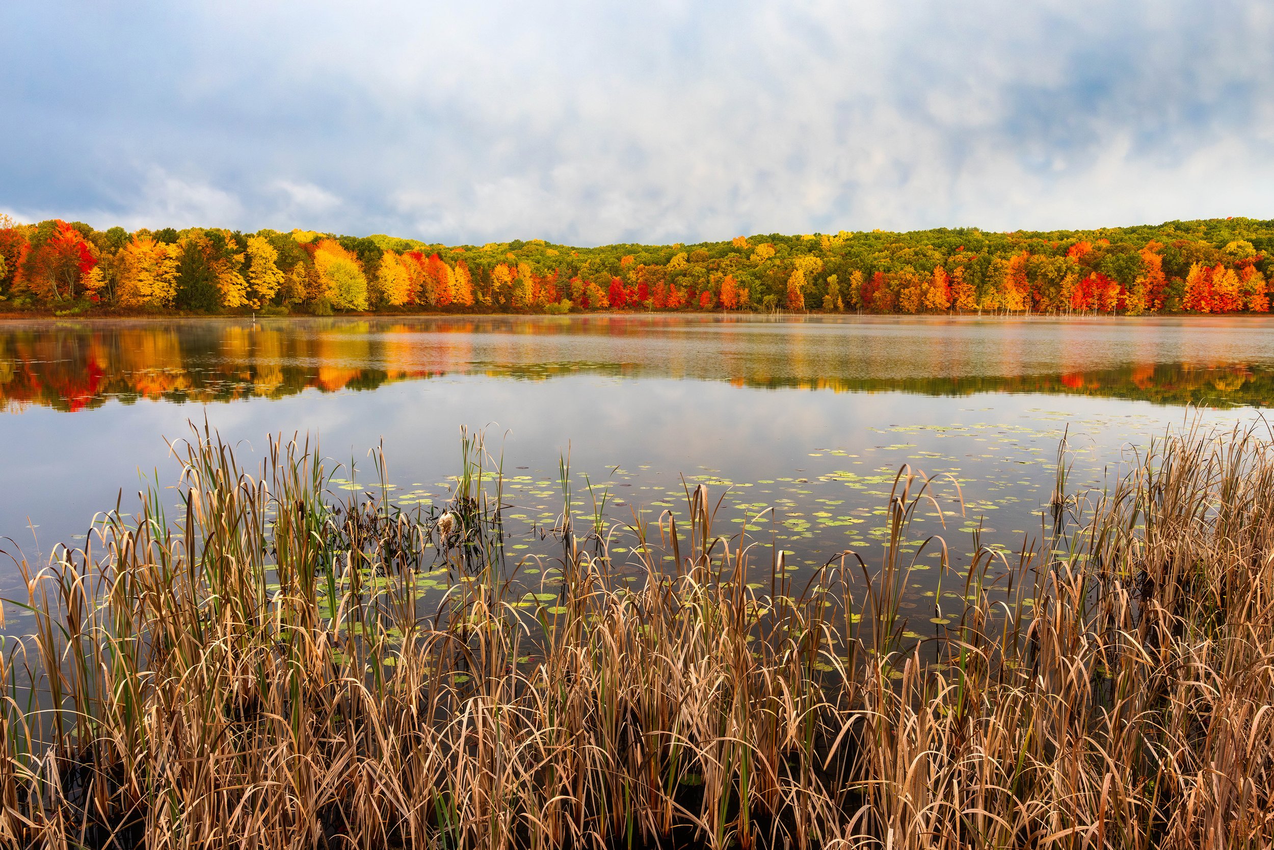  A calm fall morning on Pickerel Lake, MI 