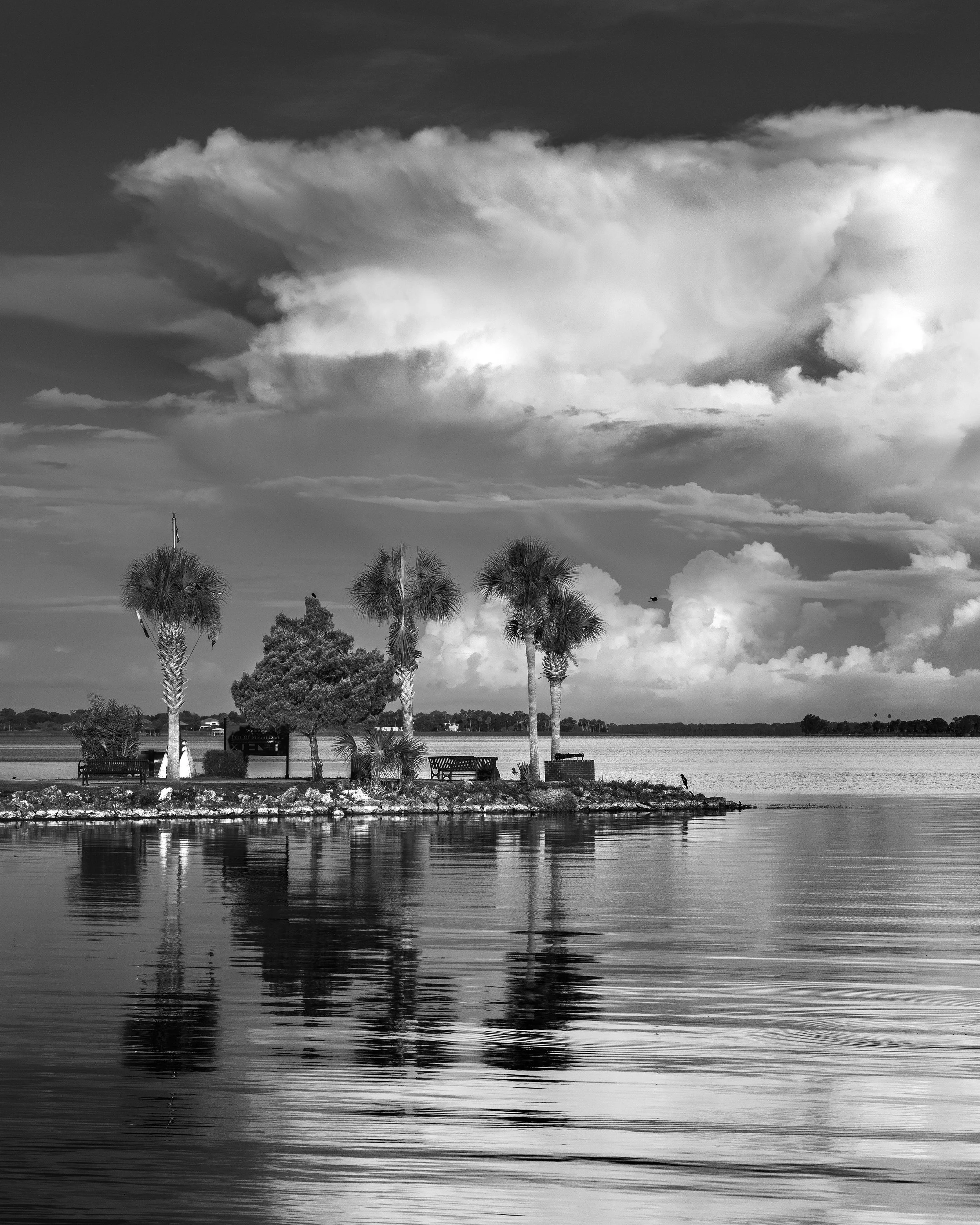  A steamy morning at the Mount Dora harbor, Florida 