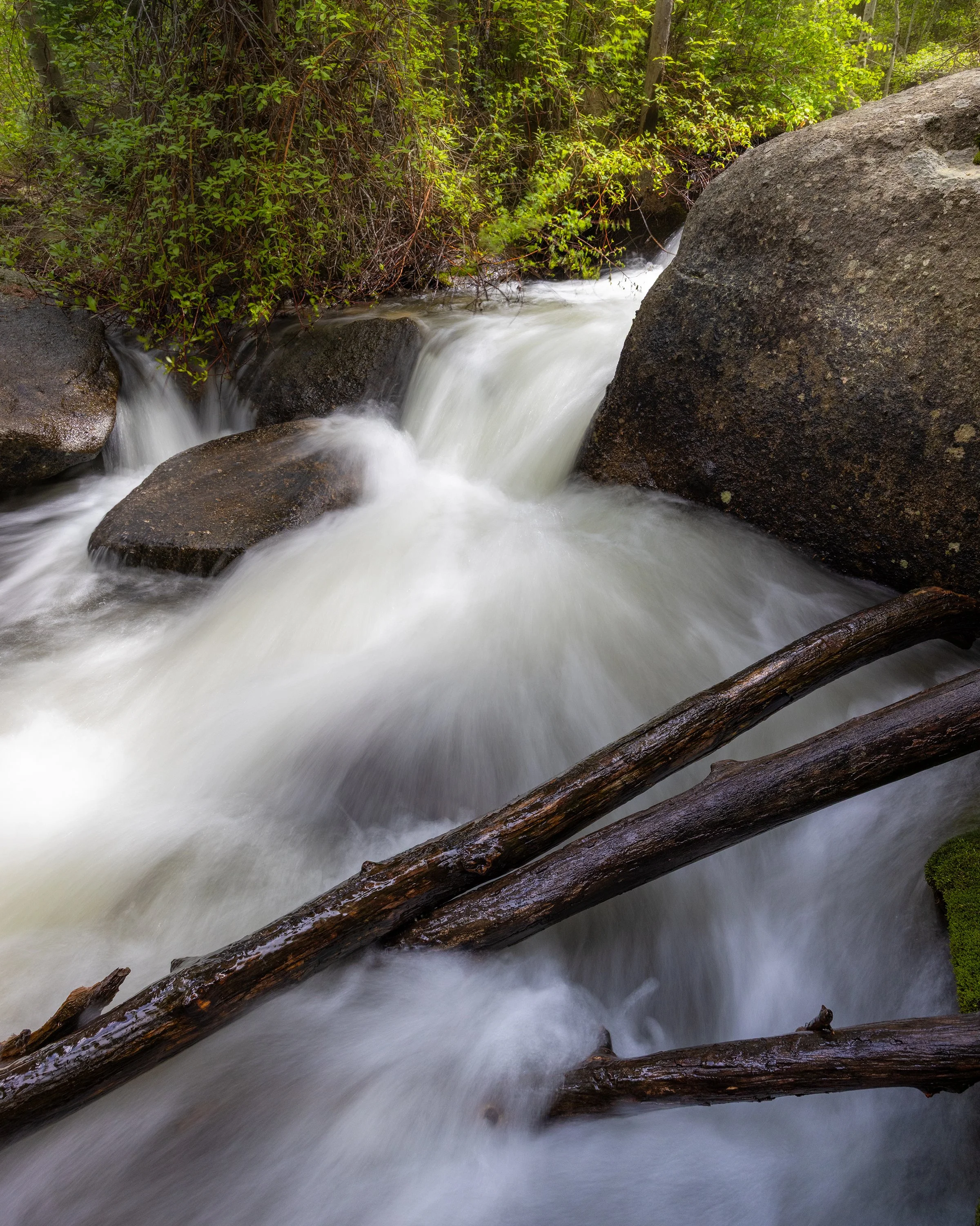 Bell Canyon Creek, Utah