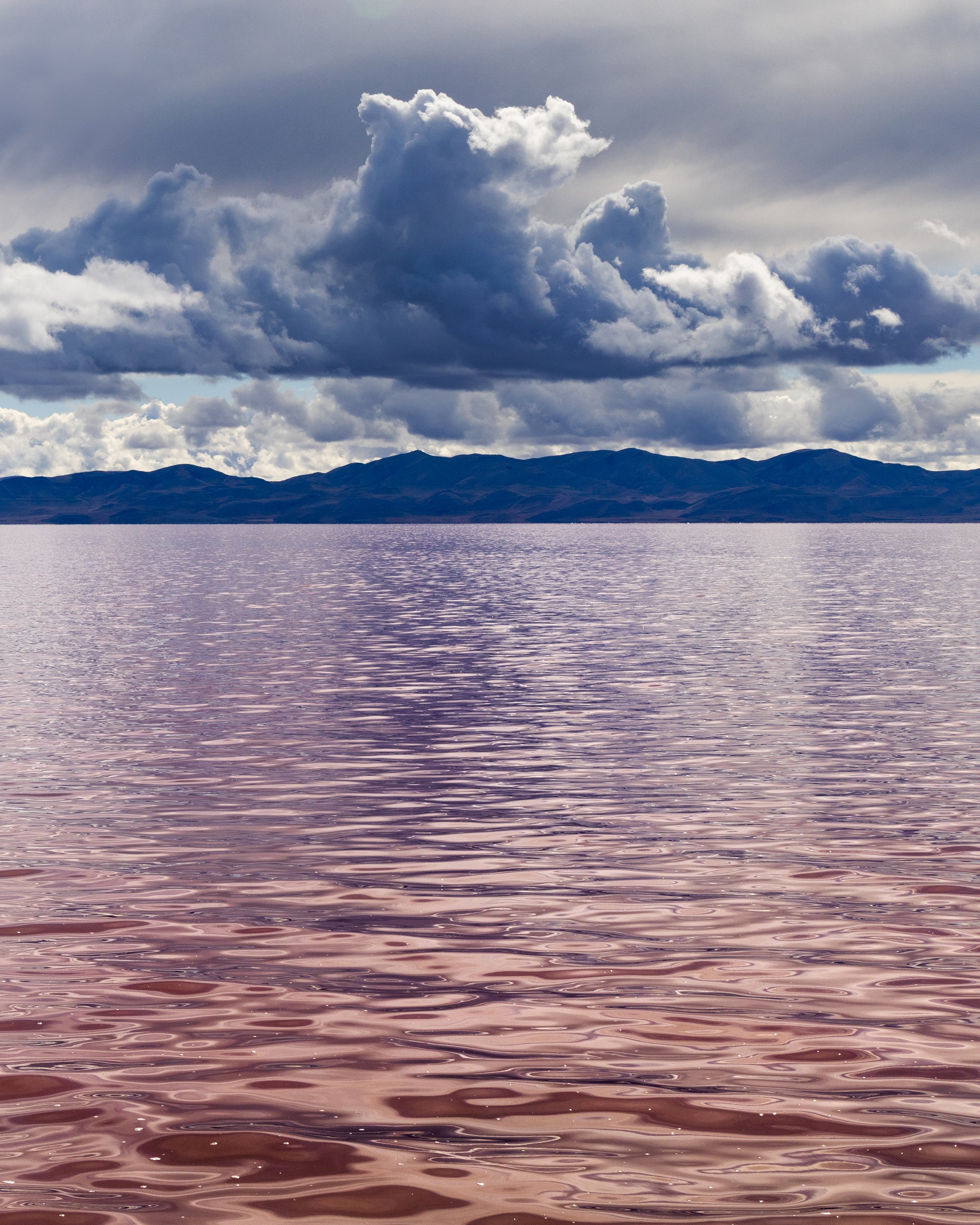 The pink waters of Stansbury Bay, Utah