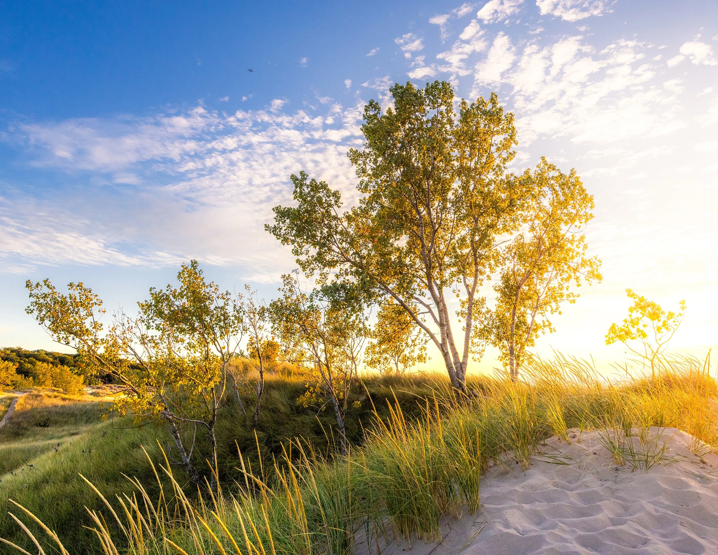 Glowing sunlight over the dunes