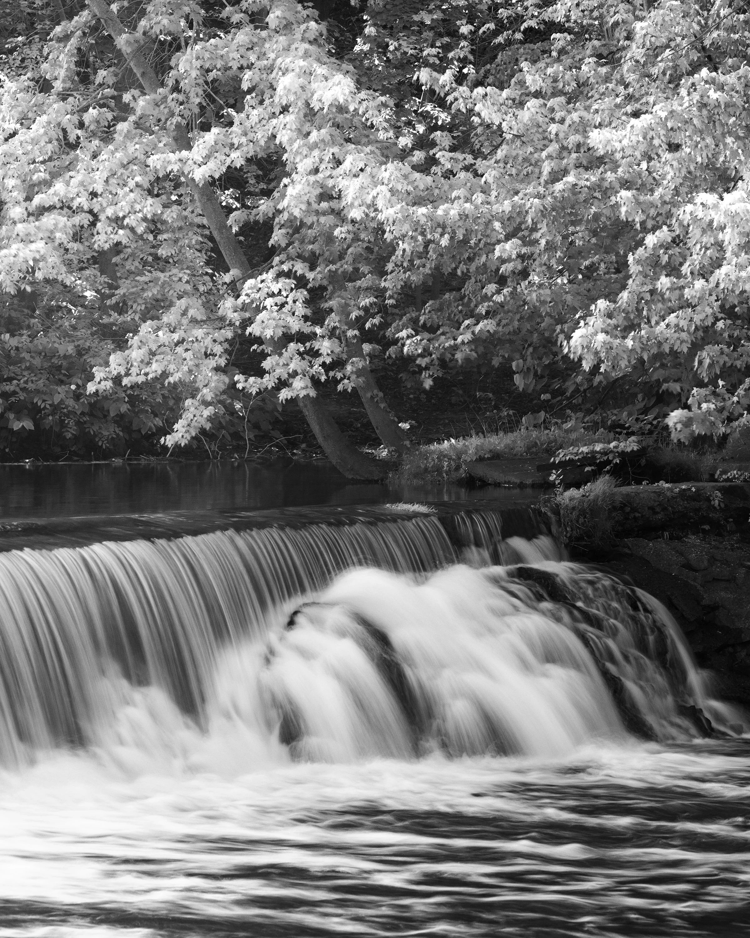 Rabbit River Dam, MI