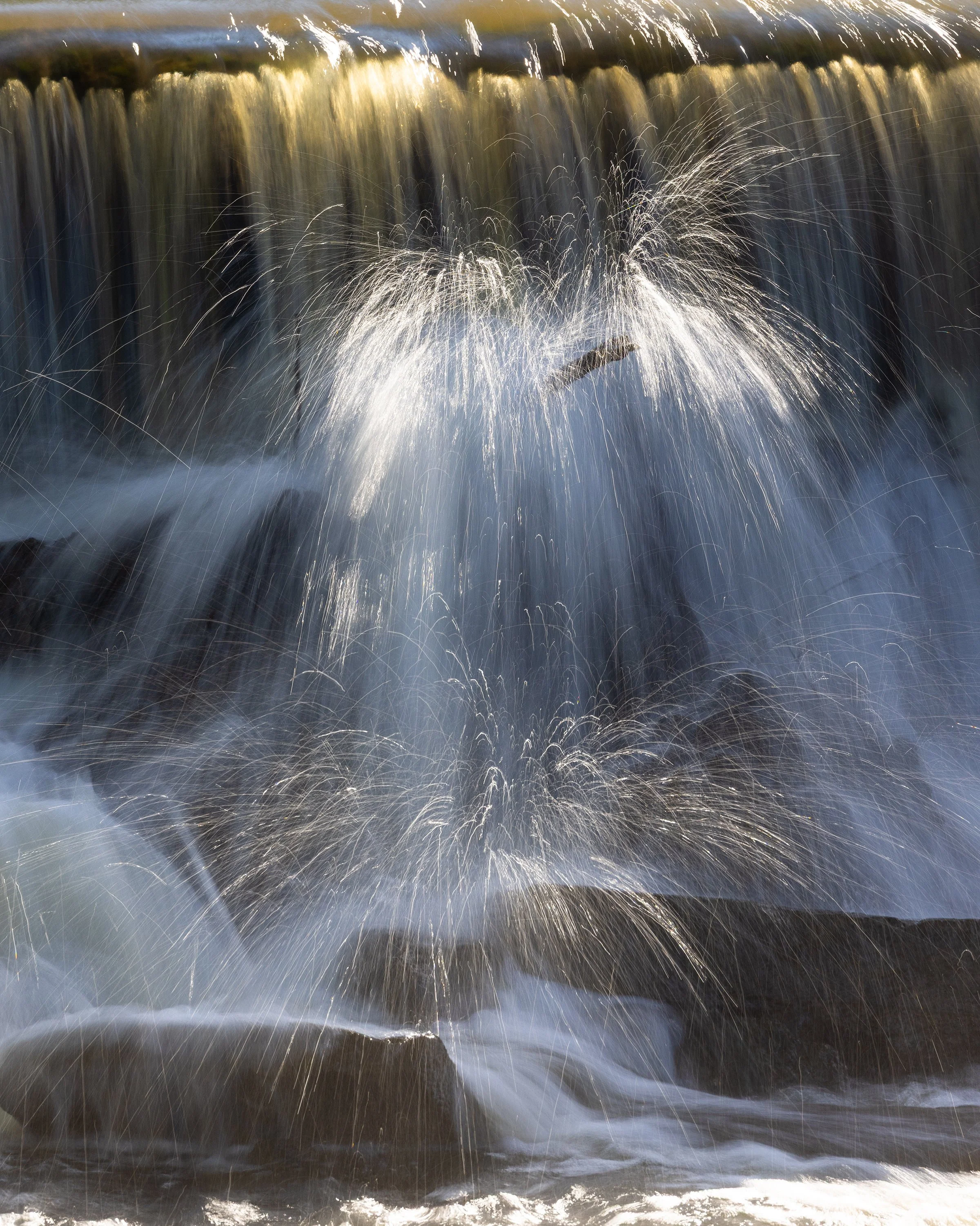Rabbit River Dam, MI
