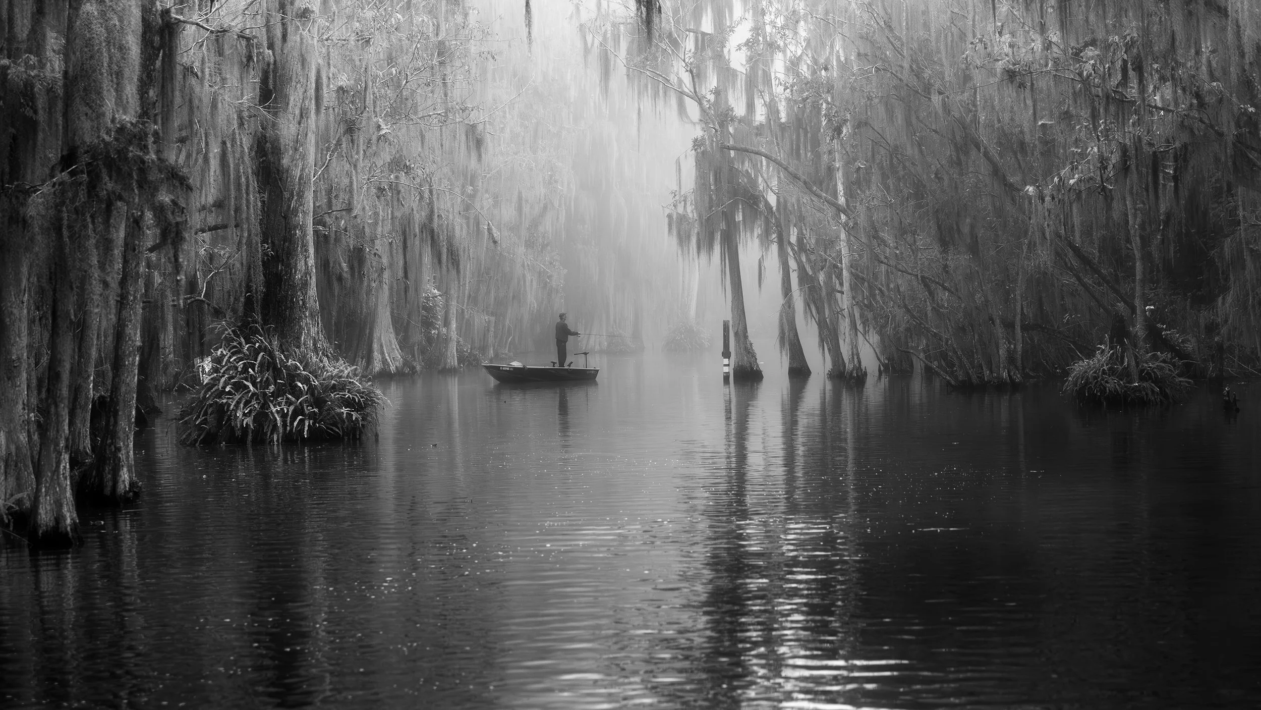 Fishing in the early morning mist