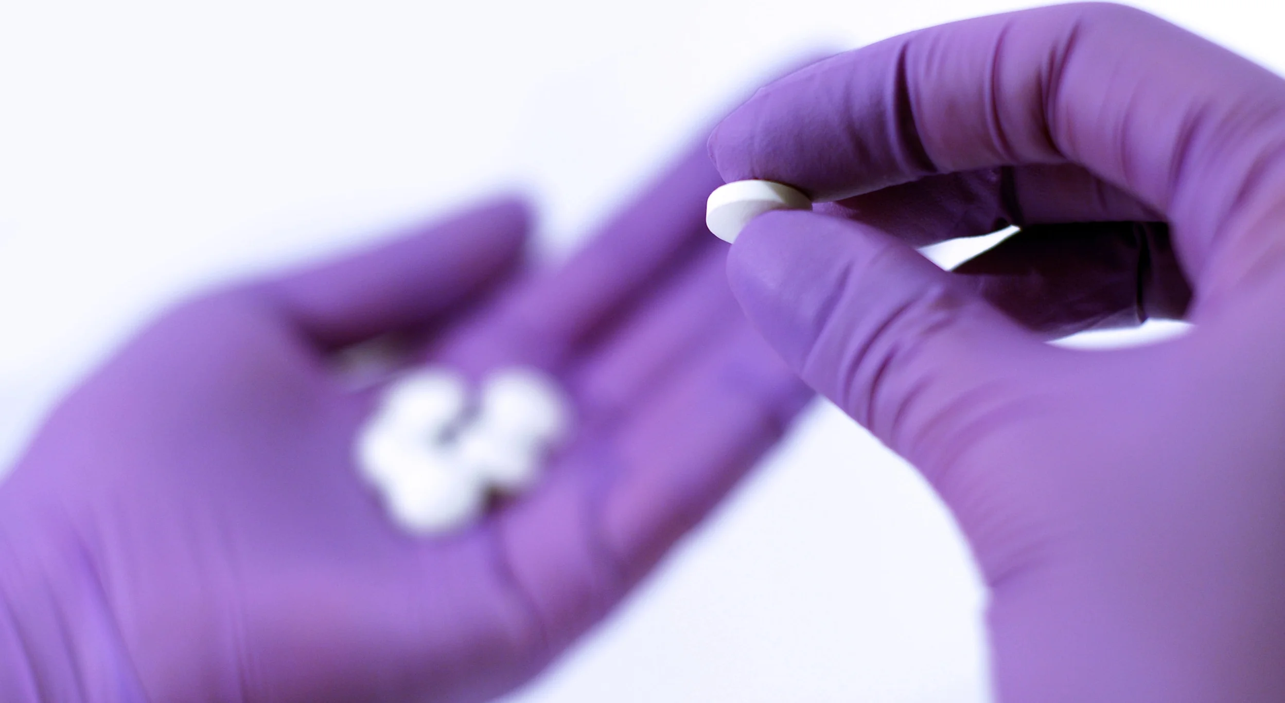 Image: A pair of hands in purple medical gloves count a handful of small white pills. 