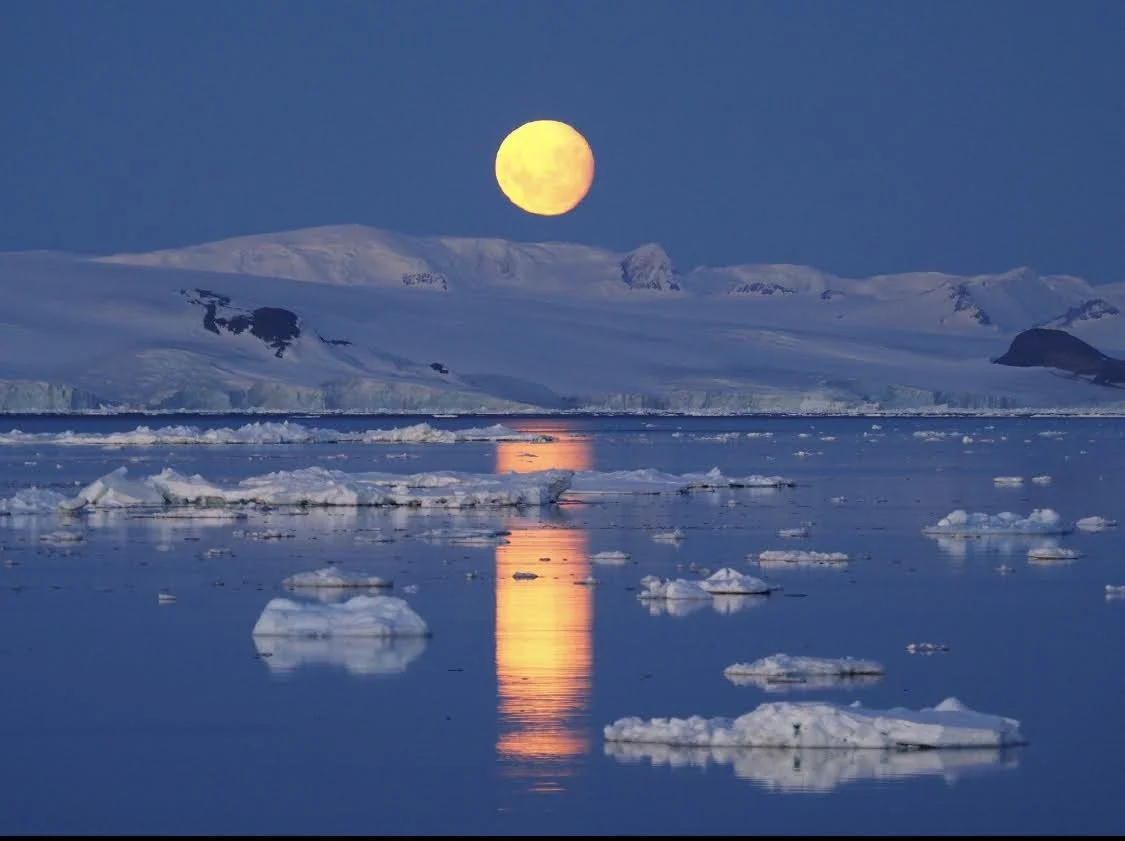 On loving Antarctica