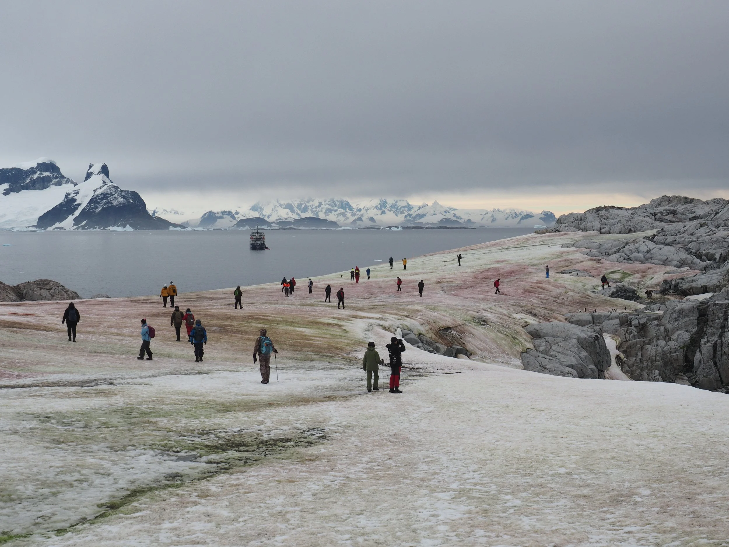 Humans in Antarctica | Petermann Island