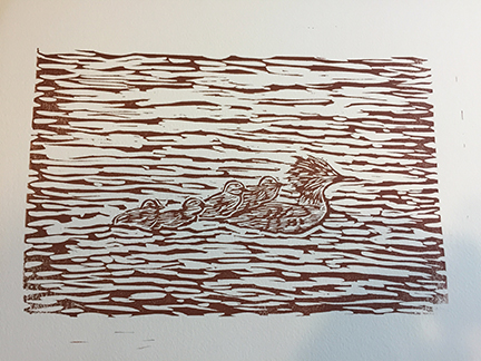 merganser print only.jpeg