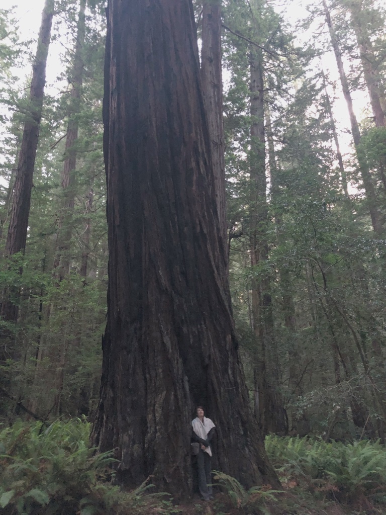 Emma among the gentle giants