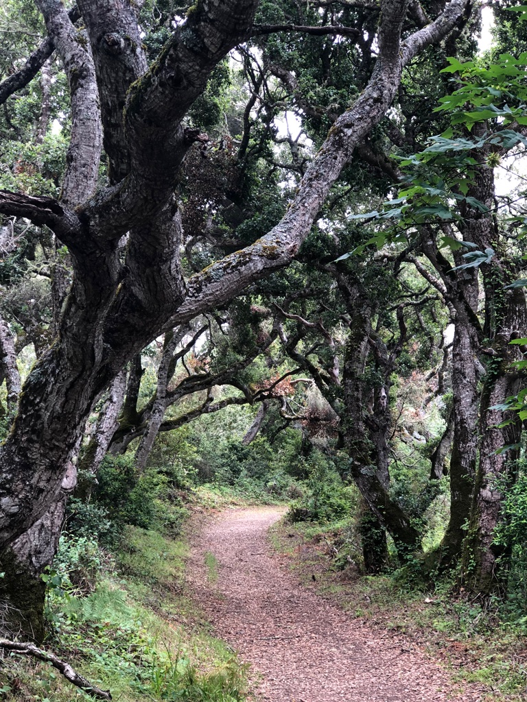I remember this part of the hike because we spent a solid 45 minutes recapping the last season of Grey’s Anatomy