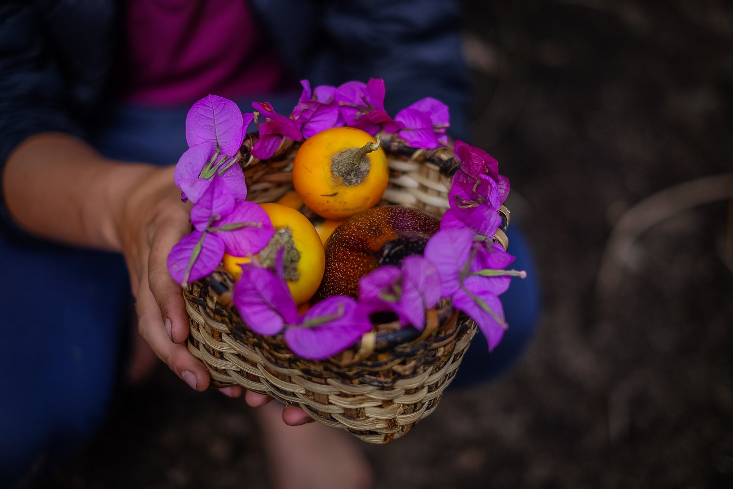 Ecuador Adventure, Yoga &amp; Cultural Immersion