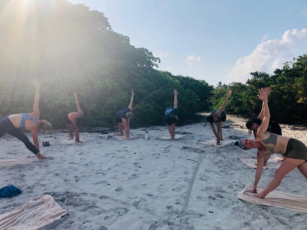 Six women practicing yoga outdoors on a sandy beach, stretching in a triangle pose, with green trees and a blue sky in the background.