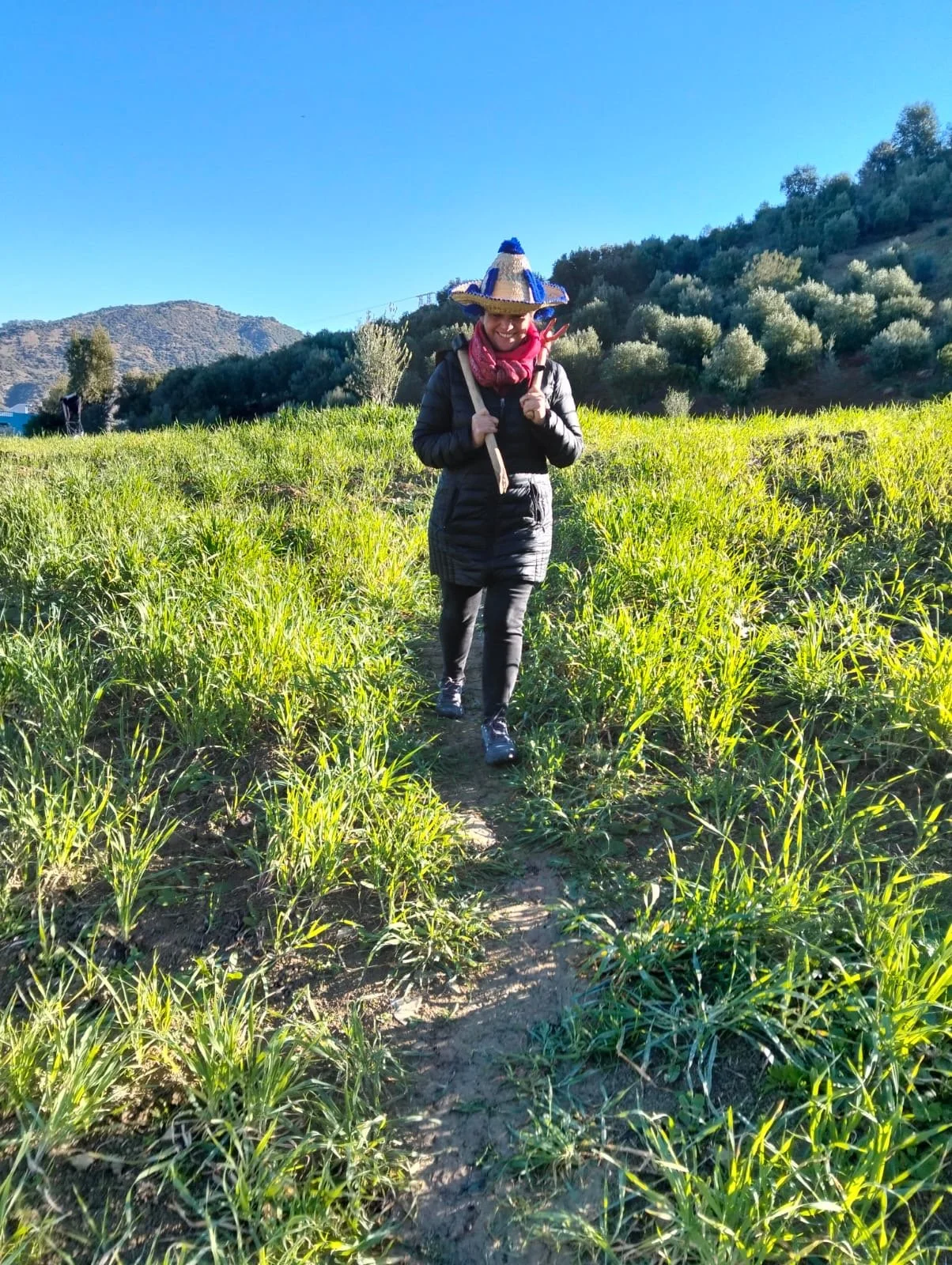 Person walking on a trail through a green field of tall grass, wearing a sombrero and black jacket, with mountains and trees in the background under a clear blue sky.