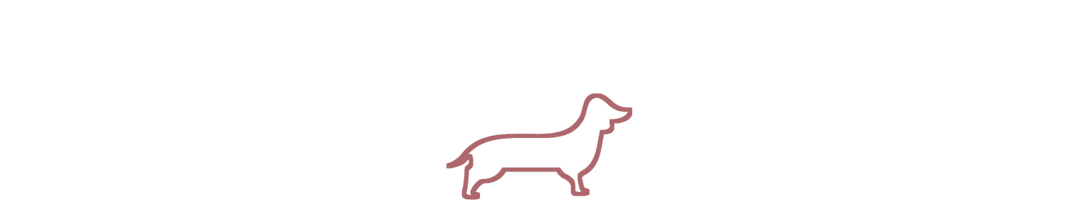 dachsie.png
