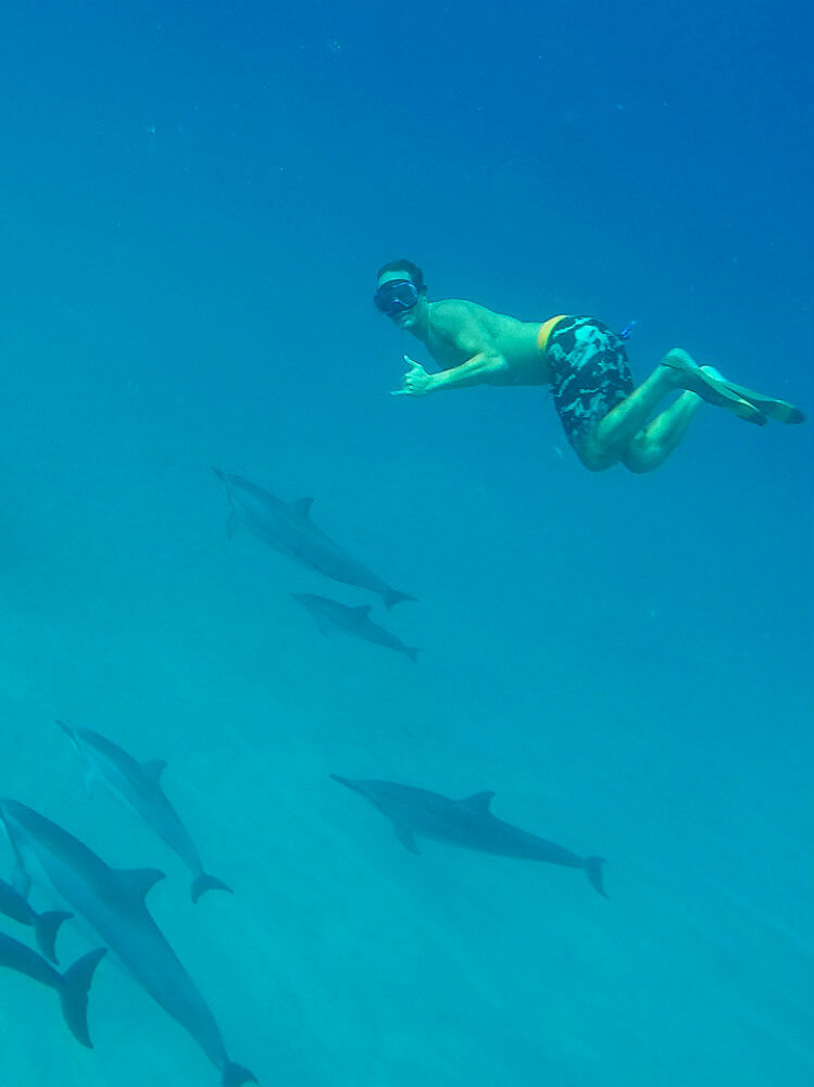 Swim with Wild Dolphins - man underwater.jpg