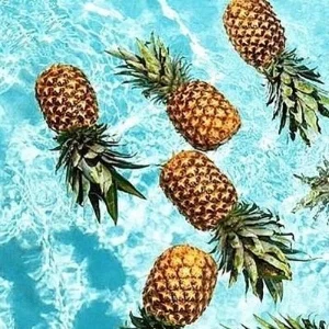 Pineapple.jpg