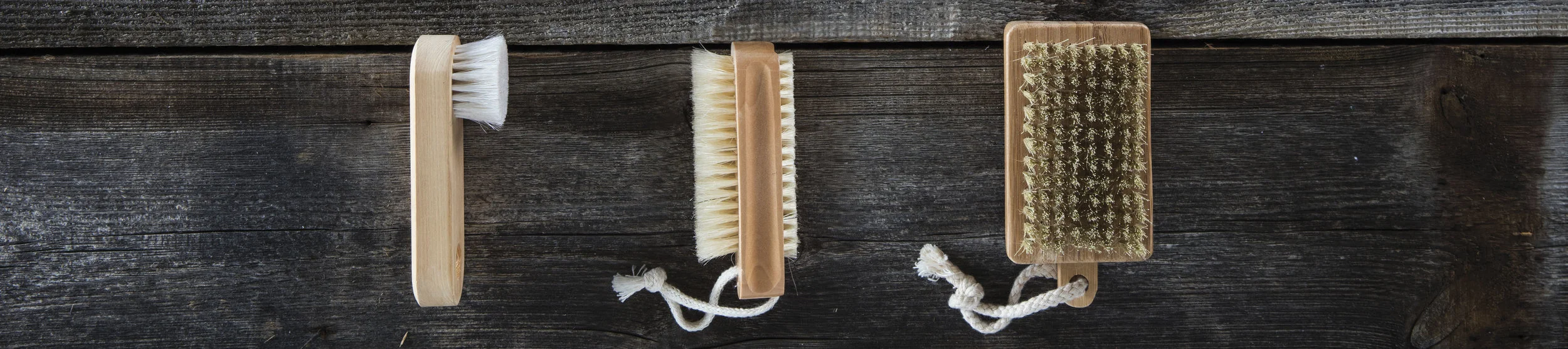 CAC_Blog_Header_DryBrushing.jpg